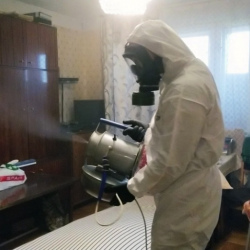 Дезинфекция от клопов в Городище